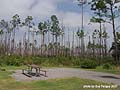 Guy Fanguy - Artist - Photographer - Guy Fanguy - Campgrounds - Alabama  - Gulf State Park (101).jpg Size: 66192 - 4